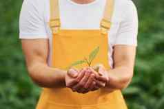 持有植物手年轻的温室工人黄色的统一的工作内部温室