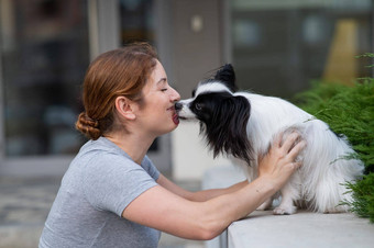 高加索人红发女人接吻帕皮利翁狗在户外黑色的白色大陆猎犬