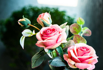 关闭粉红色的玫瑰花瓦伦泰恩浪漫的一天的想法<strong>爱</strong>背景