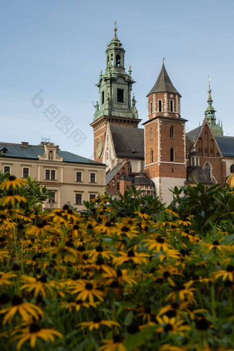 夏天视图瓦维尔皇家城堡克拉科夫波兰历史的地方波兰花前景美丽的观光瓦维尔皇家城堡色彩斑斓的花克拉科夫波兰