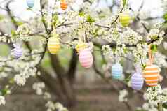 美丽的复活节画鸡蛋分支机构开花苹果树