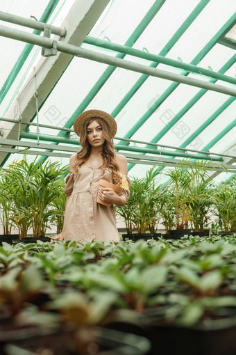 美丽的年轻的女人需要护理植物温室概念园艺环保生活方式