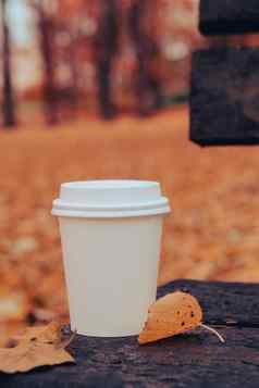 生态浪费白色纸杯复制空间模型木板凳上公园秋天叶子杯茶咖啡秋天自然团结自然