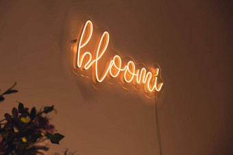 bloomi登记霓虹灯灯晚上电标志晚上夜生活概念现代荧光生活风格发光领导光