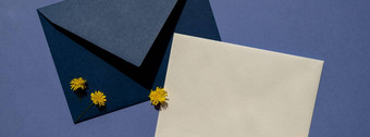 美丽的黄色的洋甘菊雏菊花邮政蓝色的信封紫罗兰色的背景空纸请注意复制空间文本春天时间问候卡假期极简主义概念生动的颜色有创意的