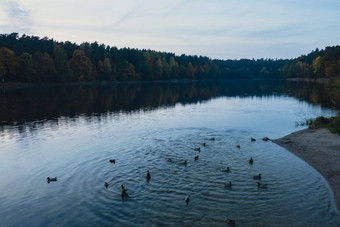 惊人的美丽的湖<strong>金秋</strong>天季节神奇的多色反射光涟漪表面水秋天晚上秋天风景色彩斑斓的充满活力的秋天森林
