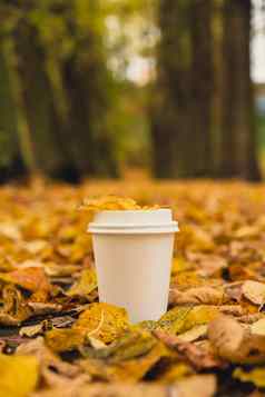 生态浪费白色纸杯复制空间模型秋天叶子杯茶咖啡秋天自然团结自然