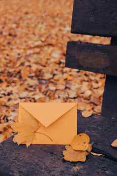 空黄色的信封模拟木板凳上色彩斑斓的下降秋天叶子模板卡金树叶子美丽的树黄色的叶子秋天森林路径散落秋天叶子自然秋天景观