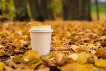 生态浪费白色纸杯复制空间模型秋天叶子杯茶咖啡秋天自然团结自然