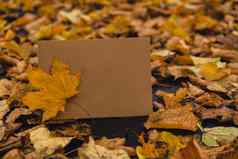 空地球音调信封模拟色彩斑斓的下降秋天叶子模板卡金树叶子美丽的树黄色的叶子秋天森林路径散落秋天叶子自然秋天景观