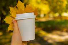 女人持有生态浪费白色纸杯复制空间模型秋天秋天的枫木黄色的叶杯茶咖啡热喝舒适的情绪休息假期咖啡打破生活方式