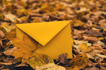 空黄色的信封模拟色彩斑斓的下降秋天叶子<strong>模板</strong>卡金树叶子美丽的树黄色的叶子秋天<strong>森林</strong>路径散落秋天叶子自然秋天景观