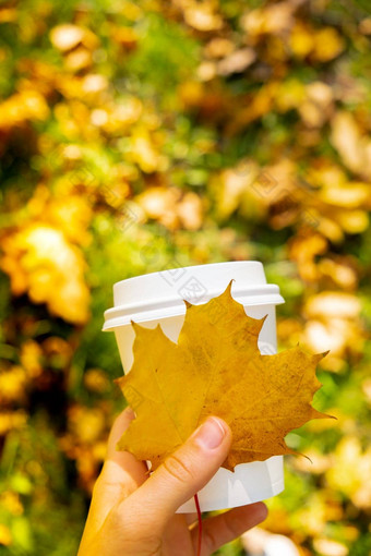 女人持有生态浪费白色纸杯复制空间模型秋天秋天的枫木黄色的叶杯<strong>茶</strong>咖啡热喝舒适的情绪休息假期咖啡打破生活方式