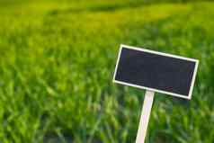 空白黑色的广告牌绿色场景观空模型模板黑板上标签农场土地复制空间横幅文本农业景观夏天景观丘陵场