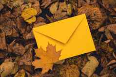 空黄色的信封模拟色彩斑斓的下降秋天叶子模板卡金树叶子美丽的树黄色的叶子秋天森林路径散落秋天叶子自然秋天景观