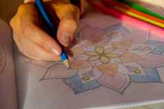 女绘画比尔达拉斯抗应激页面战斗压力放松爱好精神幸福艺术治疗女人油漆草图冥想过程着色页面表达式艺术