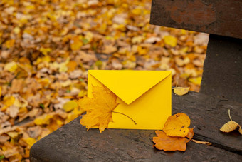 空黄色的信封模拟木板凳上色彩斑斓的下降秋天叶子模板卡金树叶子美丽的树黄色的叶子秋天森林路径散落秋天叶子自然秋天景观