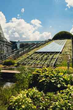 植物花园屋顶华沙大学图书馆现代体系结构绿色植物可持续发展的建筑体系结构未来主义的亲生物设计生态绿色现代建筑现代花园植物