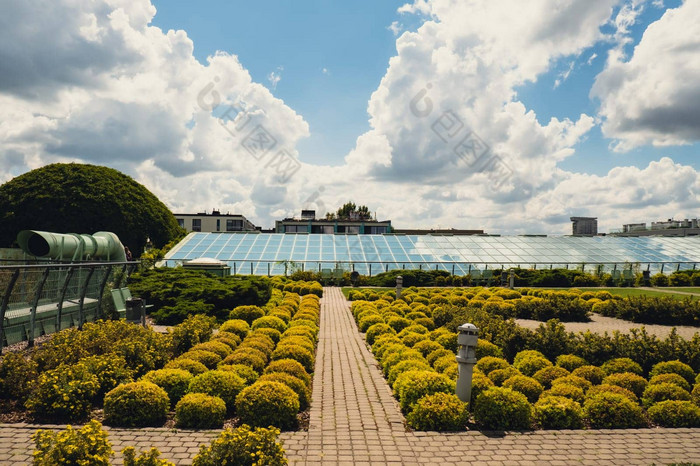 植物花园屋顶华沙大学图书馆现代体系结构绿色植物可持续发展的建筑体系结构未来主义的亲生物设计生态绿色现代建筑现代花园植物