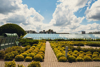 植物花园<strong>屋顶</strong>华沙大学图书馆现代体系结构绿色植物可持续发展的建筑体系结构未来主义的亲生物设计生态绿色现代建筑现代花园植物