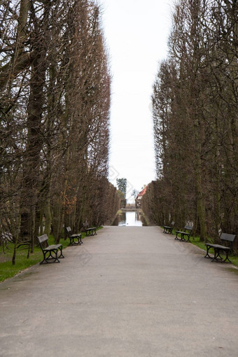 空木板凳上公园多云的一天秋天春天季节公共奥利维亚公园格但斯克波兰城市公园长椅风景景观城市花园街灯通路的角度来看视图城市景观背景空公共的地方绿色树
