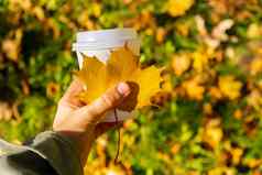 女人持有生态浪费白色纸杯复制空间模型秋天秋天的枫木黄色的叶杯茶咖啡热喝舒适的情绪休息假期咖啡打破生活方式