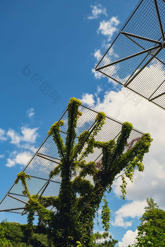 植物花园屋顶华沙大学<strong>图书馆</strong>现代体系结构绿色植物可持续发展的建筑体系结构未来主义的亲生物设计生态绿色现代建筑现代花园植物