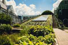 植物花园屋顶华沙大学图书馆现代体系结构绿色植物可持续发展的建筑体系结构未来主义的亲生物设计生态绿色现代建筑现代花园植物