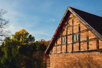 秋天窗口砖墙覆盖叶子红色的颜色秋天的秋天房子大气太阳一天