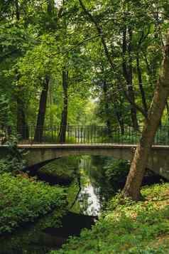 色彩斑斓的绿色风景森林公园桥小河视图夏天树叶公园森林绿色植物树叶子路径自然景观壁纸