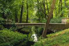 色彩斑斓的绿色风景森林公园桥小河视图夏天树叶公园森林绿色植物树叶子路径自然景观壁纸