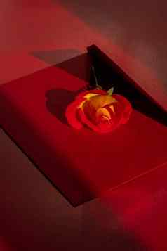 美丽的红色的玫瑰花邮政红色的信封红色的背景复制空间文本春天时间问候卡假期花交付精致的红色的黄色的玫瑰单色最小的时尚的作文