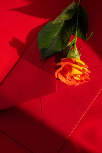 美丽的红色的玫瑰花邮政红色的信封红色的背景复制空间文本春天时间问候卡假期花交付精致的红色的黄色的玫瑰单色最小的时尚的作文