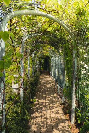 植物花园屋顶华沙大学<strong>图书馆</strong>现代体系结构绿色植物可持续发展的建筑体系结构未来主义的亲生物设计生态绿色现代建筑现代花园植物