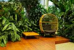 绿色植物植物花园新鲜的自然背景绿色植物室内片段室内温室热带室内植物首页园艺室内植物城市丛林概念