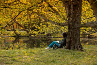 有吸引力的年轻的女人阅读书坐着草绿色公共公园春天在<strong>户外绿色植物</strong>团结自然花免费的时间开放空气