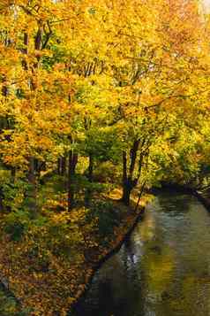 秋天叶子浮动表面水下降秋天的叶子表面湖大自然的景观下降橙色叶航行水水平