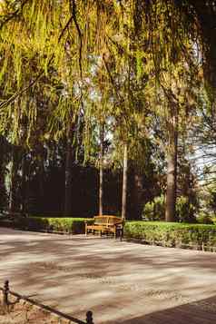 绿色木板凳上公园阳光明媚的一天秋天春天夏天季节公共奥利维亚公园格但斯克波兰城市公园长椅风景景观城市花园街灯通路的角度来看视图城市景观背景空公共的地方绿色树