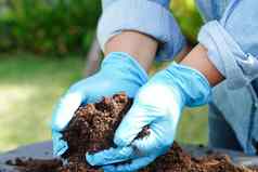泥炭莫斯肥料土壤有机农业植物日益增长的生态概念