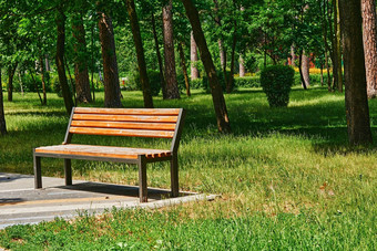 木板凳上放松绿色公园阳光明媚的一天