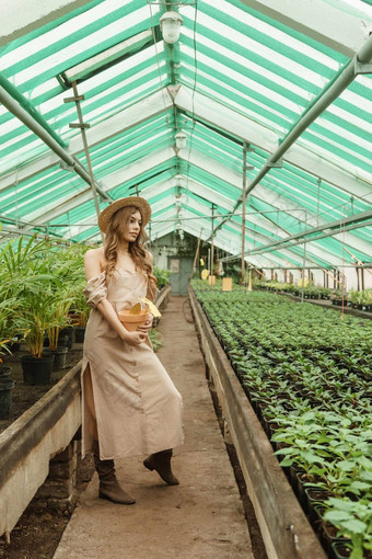 美丽的年轻的女人需要护理植物温室概念园艺<strong>环保</strong>生活方式