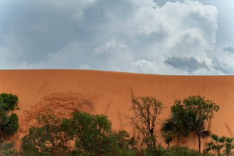 雄伟的沙子沙丘不断上升的<strong>郁郁葱葱</strong>的丛林多云的天空充满活力的颜色
