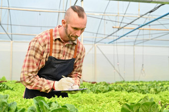 农民检查有机蔬菜记录农业数据数字平板电脑创新聪明的农场系统概念