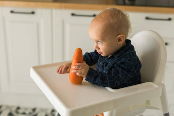 男孩蓝色的t恤坐着孩子的椅子吃胡萝卜<strong>婴儿护理婴儿</strong>孩子喂养概念