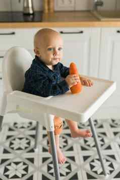 快乐婴儿坐着高椅子吃胡萝卜厨房复制空间健康的营养孩子们生物胡萝卜固体食物婴儿孩子们吃蔬菜男孩咬生蔬菜