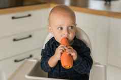 男孩蓝色的t恤坐着孩子的椅子吃胡萝卜婴儿护理婴儿孩子喂养概念