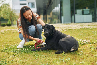 玩<strong>狗年</strong>轻的亚洲女人在户外白天