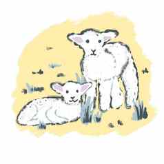 手画插图可爱的白色羊肉羊春天复活节概念农场动物打印孩子们孩子们nurserry装饰柔和的画黄色的背景