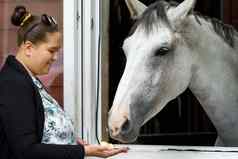 女马老板站马稳定的喂养苹果银颜色马摊位马窗口摊位马稳定的视图爱马