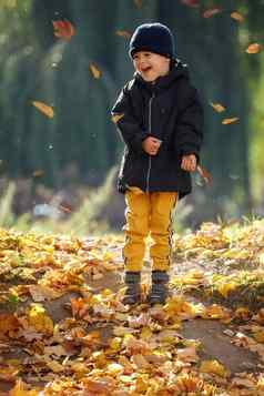 快乐的男孩享受在下降秋天叶子简单的幸福甜蜜的童年记忆蹒跚学步的男孩享受秋天黄色的叶子快乐童年